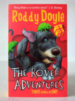 The Rover Adventures