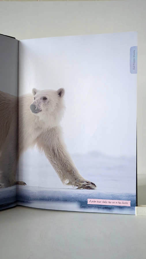 Our Planet: The One Place We All Call Home