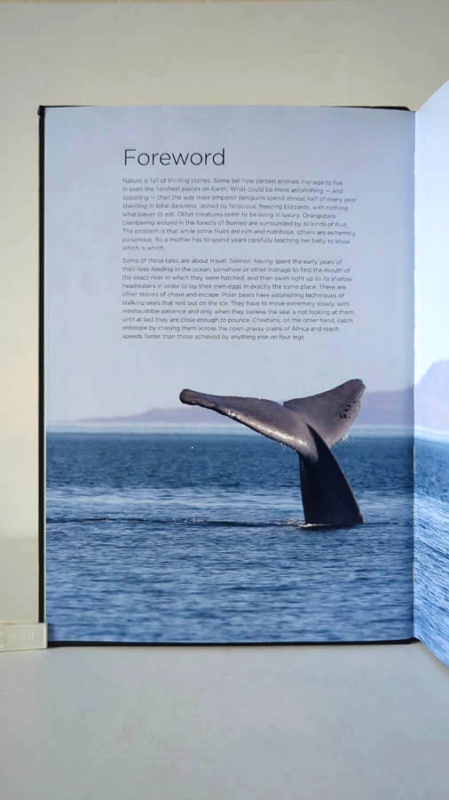 Our Planet: The One Place We All Call Home