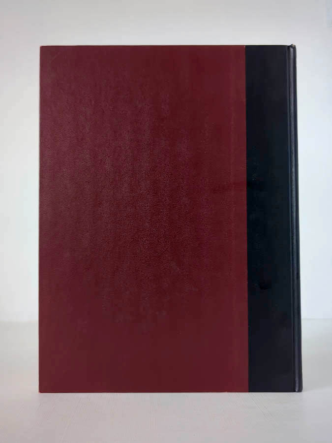 The World of Bruegel