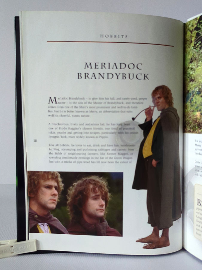 The Lord of the Rings: The Fellowship of the Ring. Visual Companion