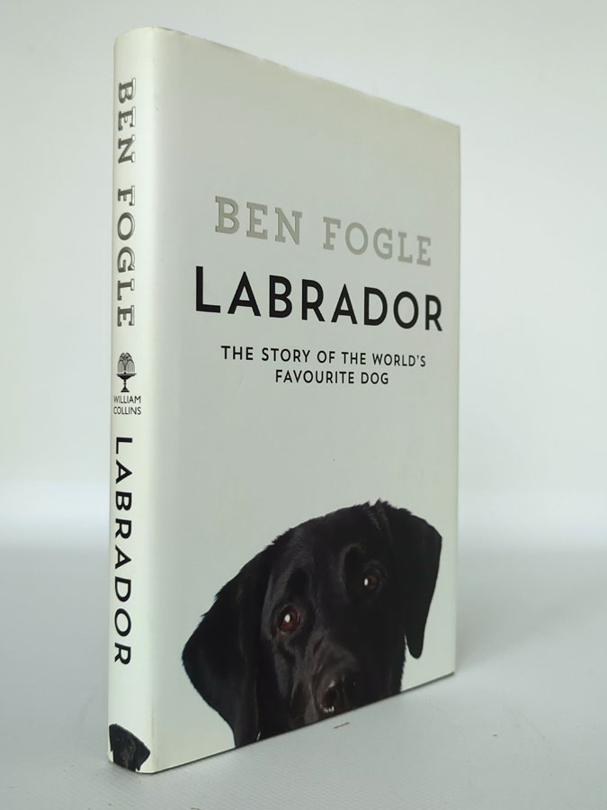 Labrador
