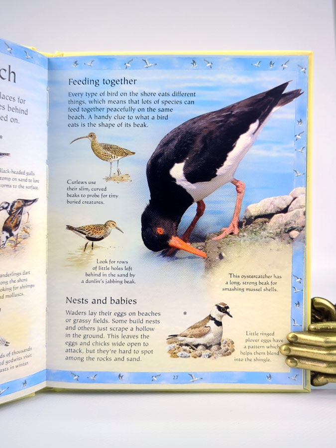 The Usborne. Little Book of Seashore