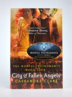 City of Fallen Angels