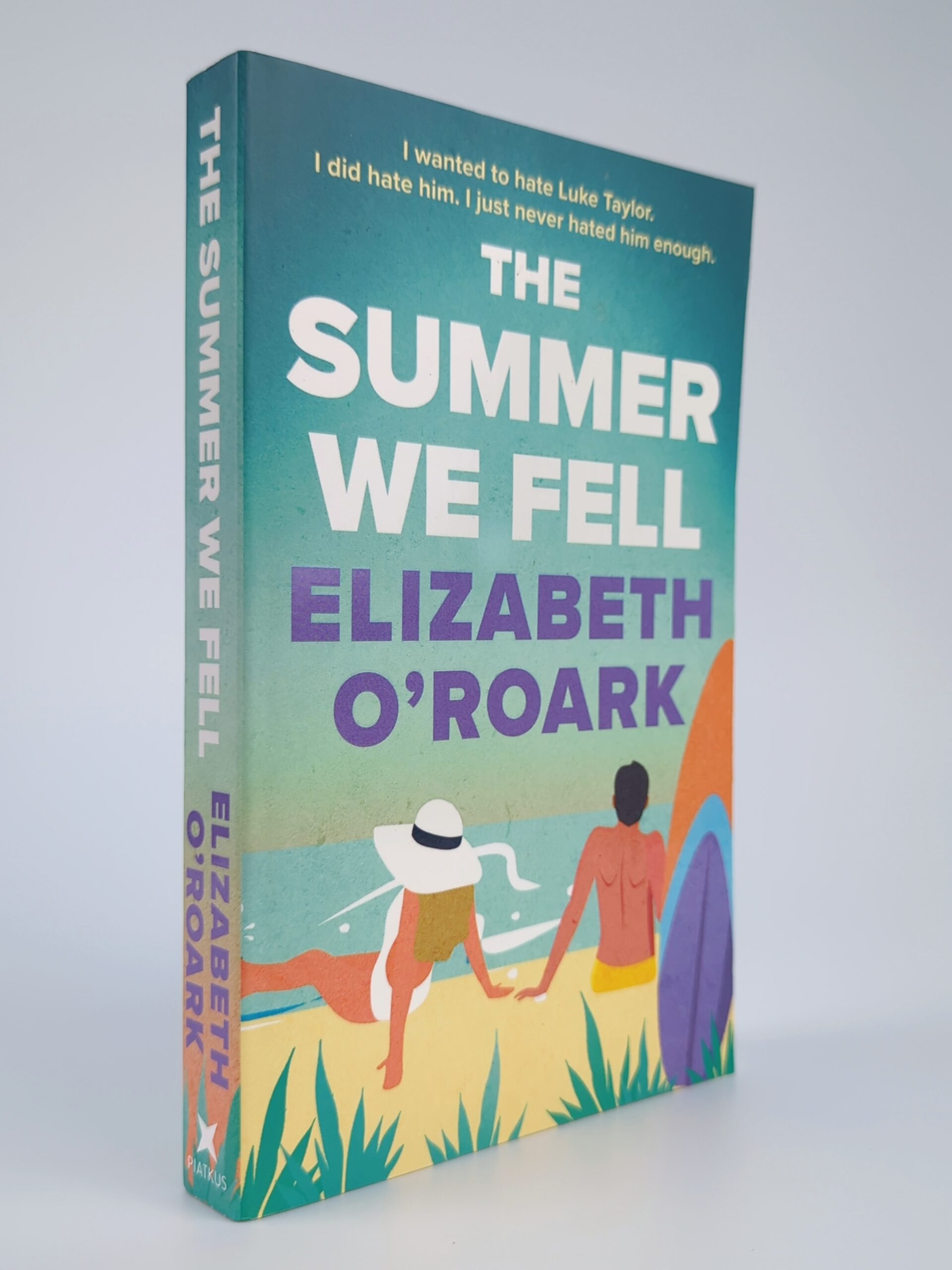 The Summer We Fell
