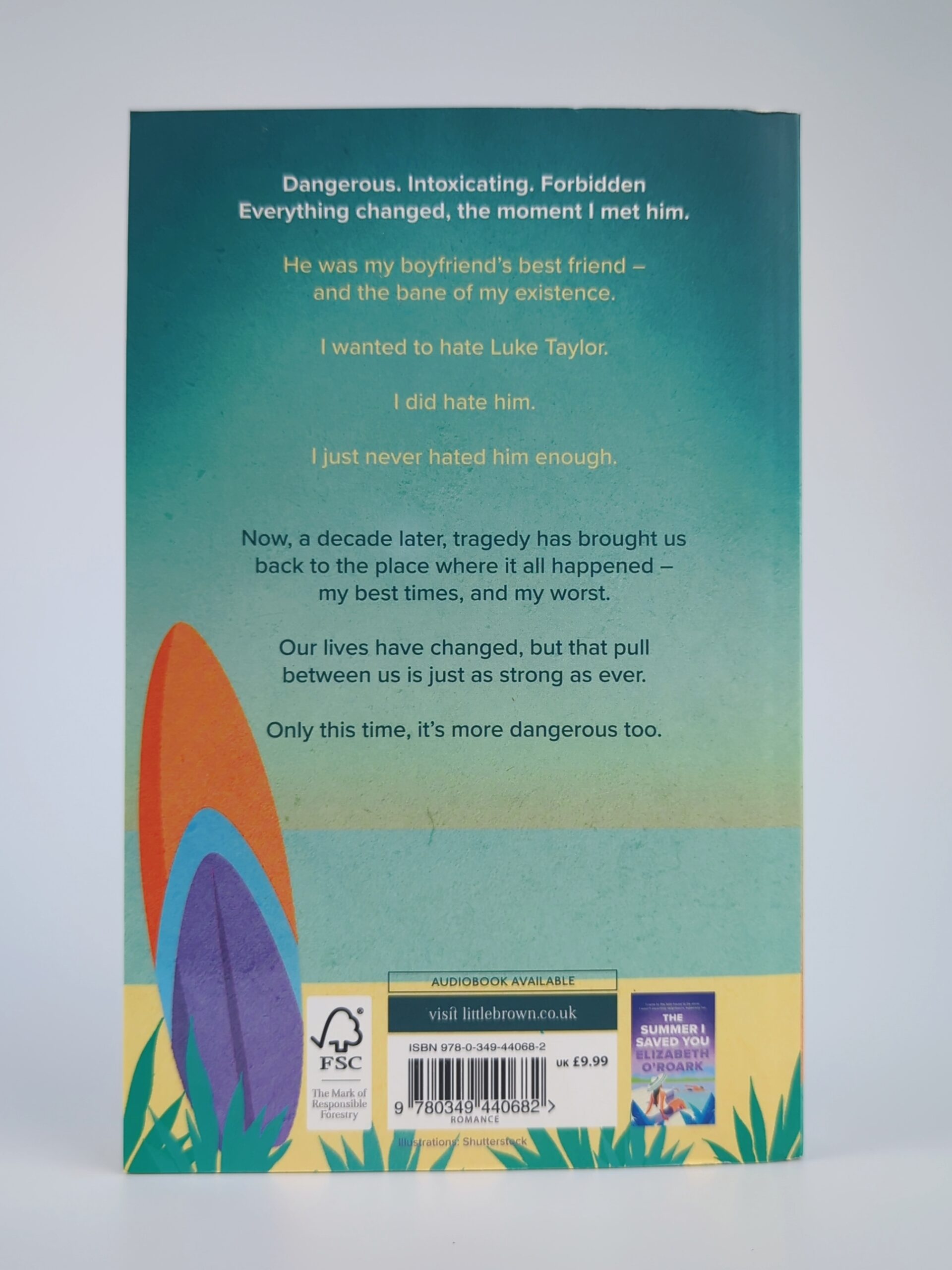 The Summer We Fell