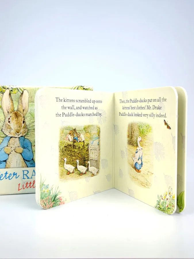 Peter Rabbit Little Library