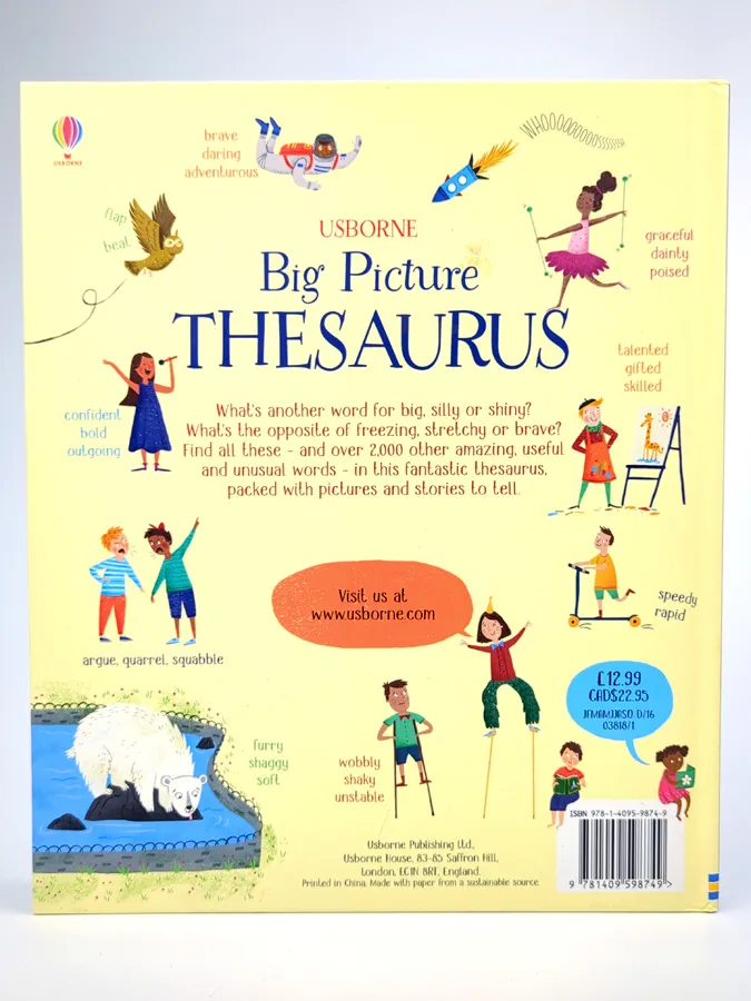 Usborne Big Picture Book Thesaurus